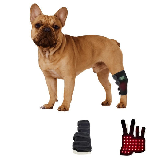 Attelle de Luminothérapie Anti-Arthrose pour Chien - Ma Lumière Rouge®