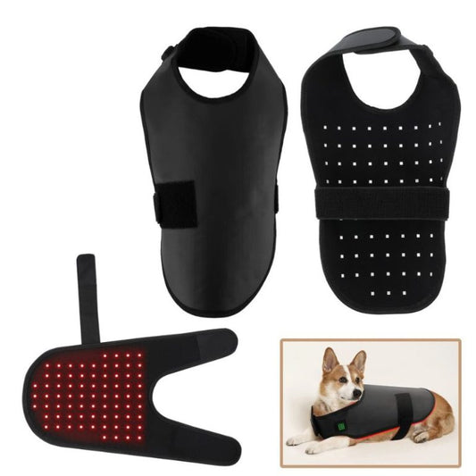 Gilet photobiomodulation pour Chien - Ma Lumière Rouge®