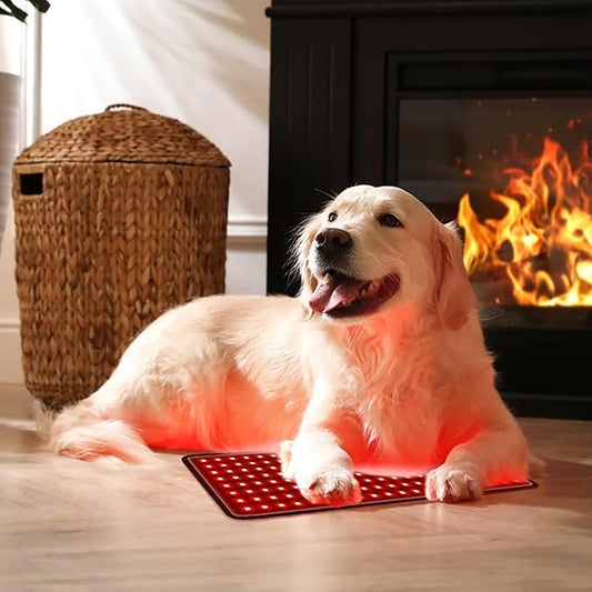 Tapis flexible de luminothérapie pour chien - Ma Lumière Rouge®