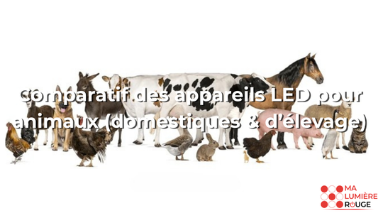 Comparatif des appareils LED pour animaux (domestiques & d’élevage)