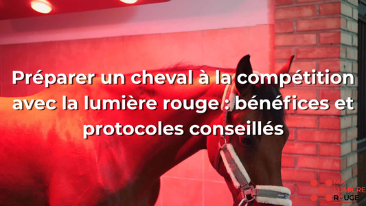Préparer un cheval à la compétition avec la lumière rouge : bénéfices et protocoles conseillés