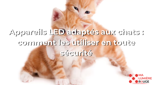 Appareils LED adaptés aux chats : comment les utiliser en toute sécurité