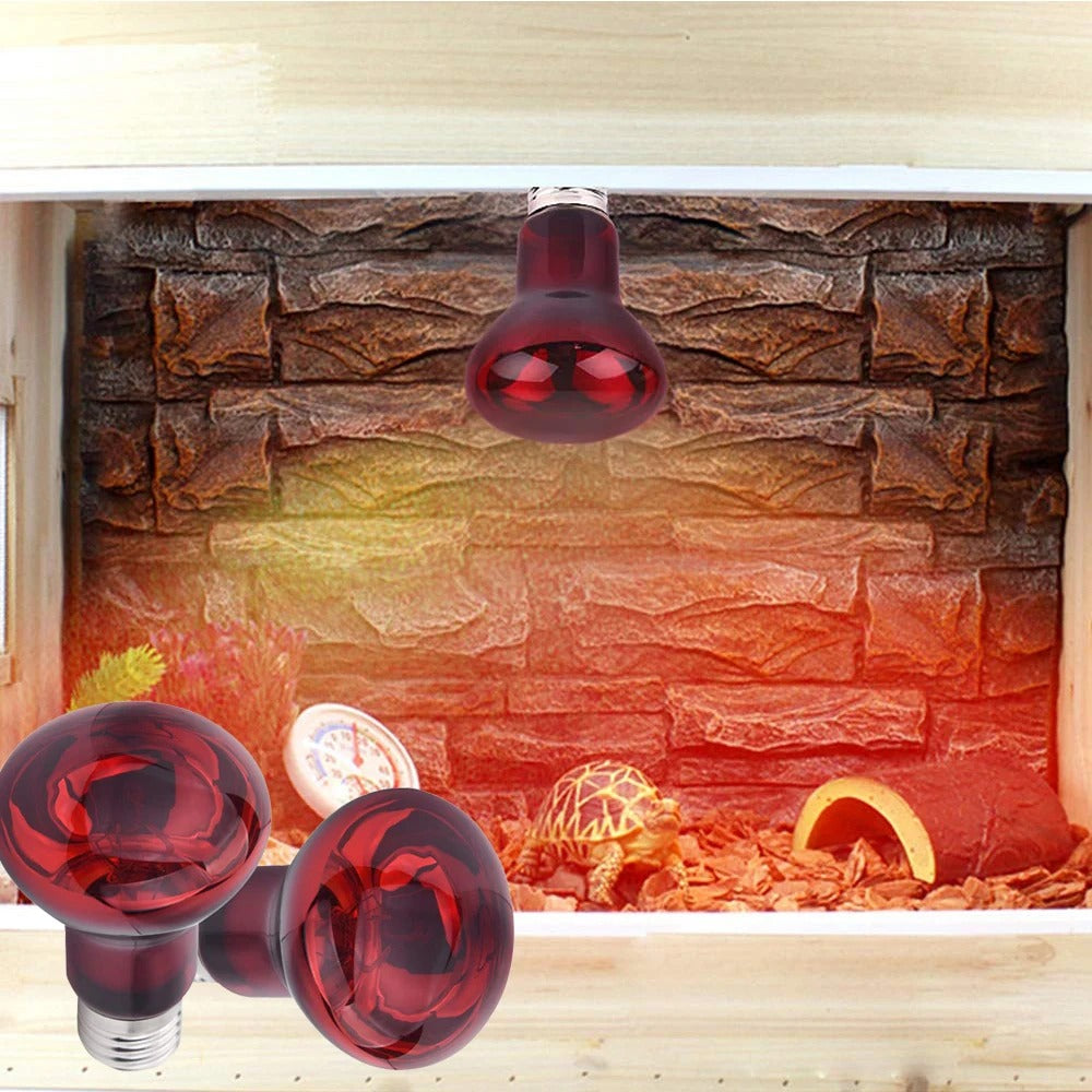 Ampoule de Luminothérapie pour Reptiles - Ma Lumière Rouge®