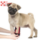Attelle de Luminothérapie Anti-Arthrose pour Chien - Ma Lumière Rouge®