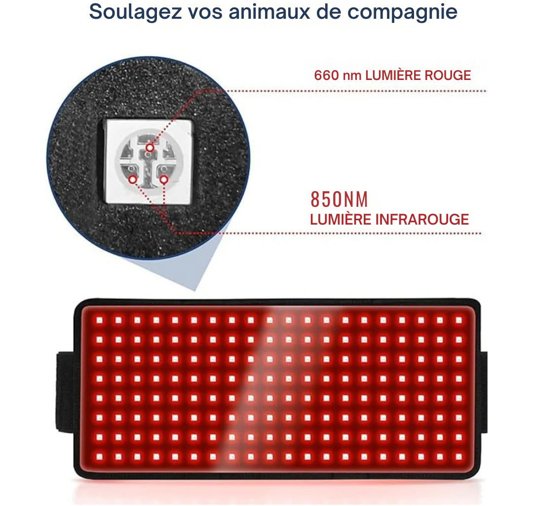Tapis flexible de luminothérapie pour chien - Ma Lumière Rouge®
