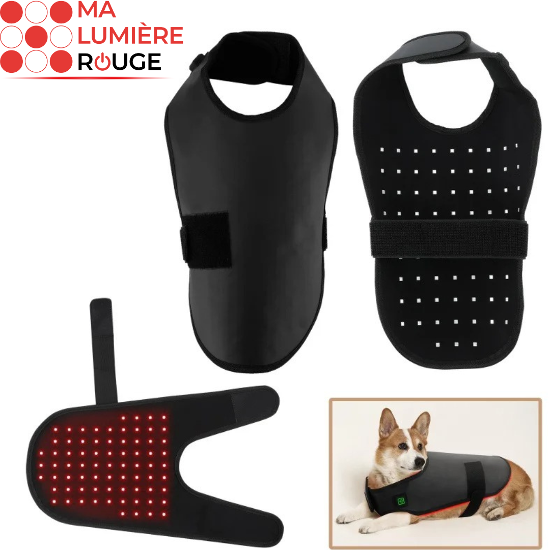 Gilet de Luminothérapie pour Chien: Bien-être, Récupération et Soulagement Articulaire - Ma Lumière Rouge®