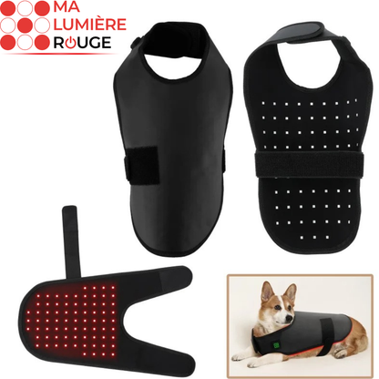Gilet de Luminothérapie pour Chien: Bien-être, Récupération et Soulagement Articulaire - Ma Lumière Rouge®