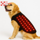 Gilet photobiomodulation pour Chien - Ma Lumière Rouge®