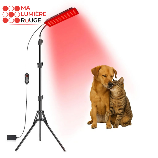 Lampe de Luminothérapie Anti-Douleurs Articulaires et Musculaires pour Chiens & Chats – Ma Lumière Rouge®