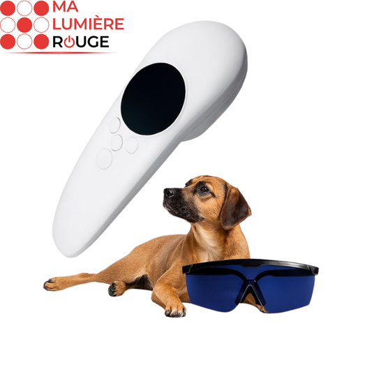 Laser de Luminothérapie pour Chiens: Soin Naturel, Cicatrisation et Détente Musculaire - Ma Lumière Rouge®