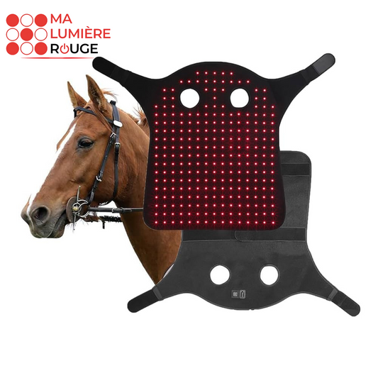 Luminothérapie Protège Nuque pour cheval - Ma Lumière Rouge®