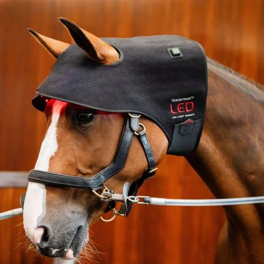 Luminothérapie Protège Nuque pour cheval - Ma Lumière Rouge®