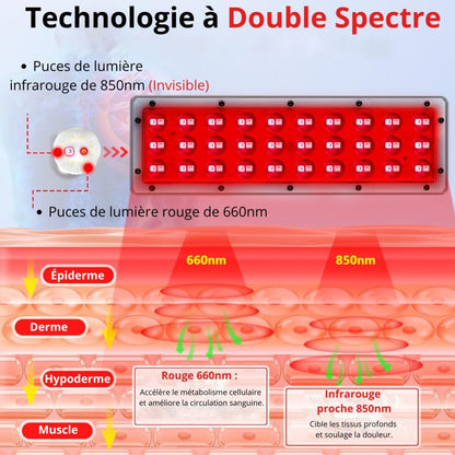 Panneau de Luminothérapie sur Trépied: Régénération Cutanée et Détente Musculaire - Ma Lumière Rouge®