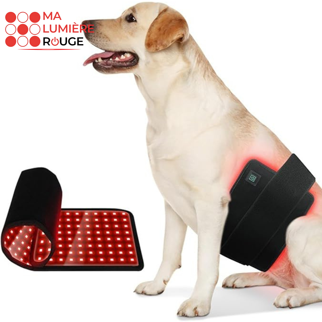 Tapis flexible de luminothérapie pour chien - Ma Lumière Rouge®